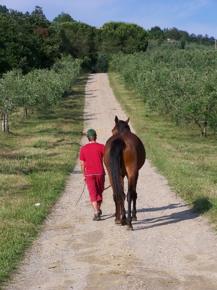 varie primavera 2008 074.JPG