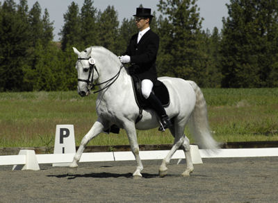 favory2007-316b.jpg
