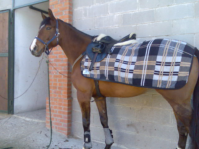Mashia passeggiata.jpg