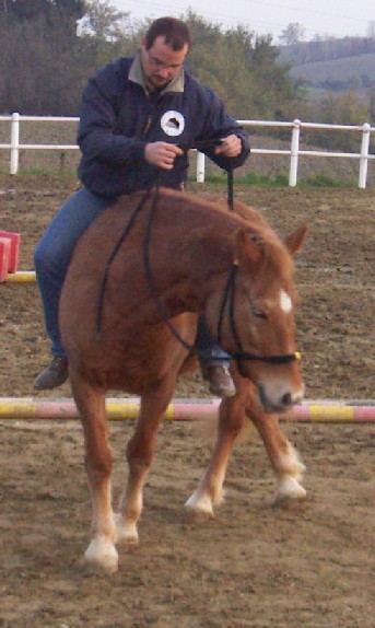 flessione sx.JPG