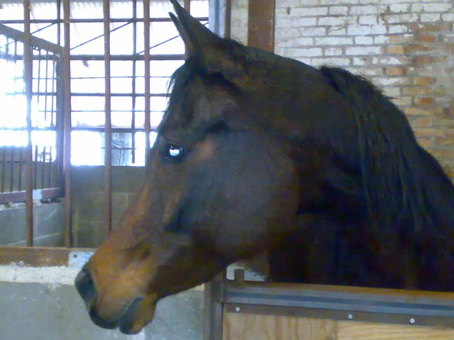 14112008070.jpg