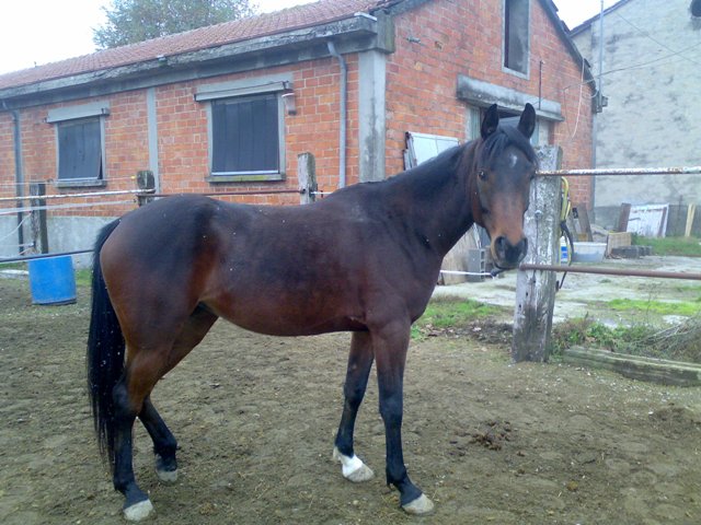 11112008041.jpg