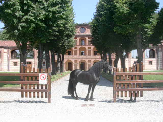 Copia (2) di DSCN2578.JPG