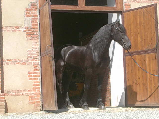 Copia di DSCN2597.JPG