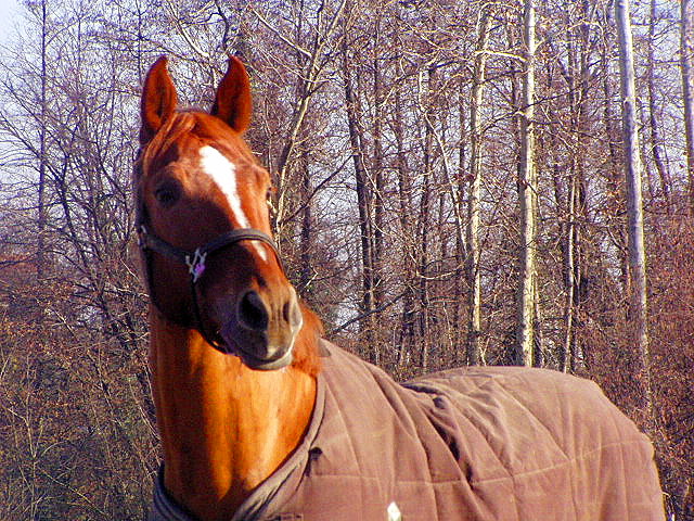 P1010091.JPG