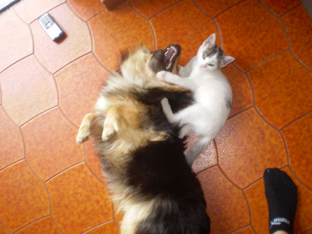 P5270006.JPG