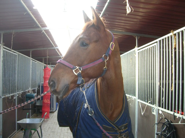 CIMG0577.JPG