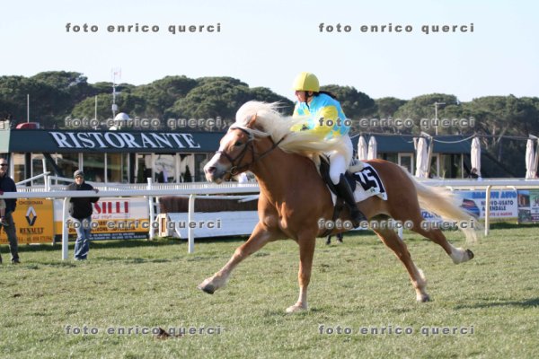 nearco.jpg