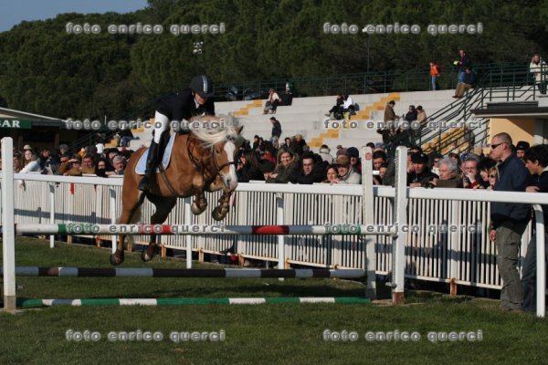 nearco salto.jpg