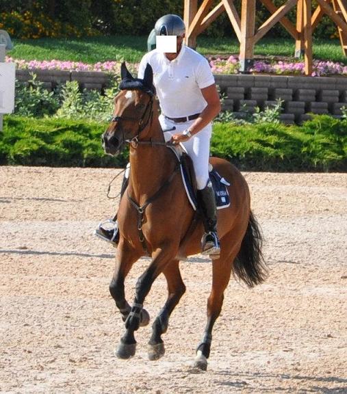 ossa.jpg