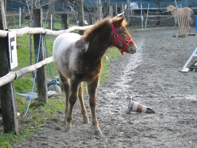DSCN0216.jpg