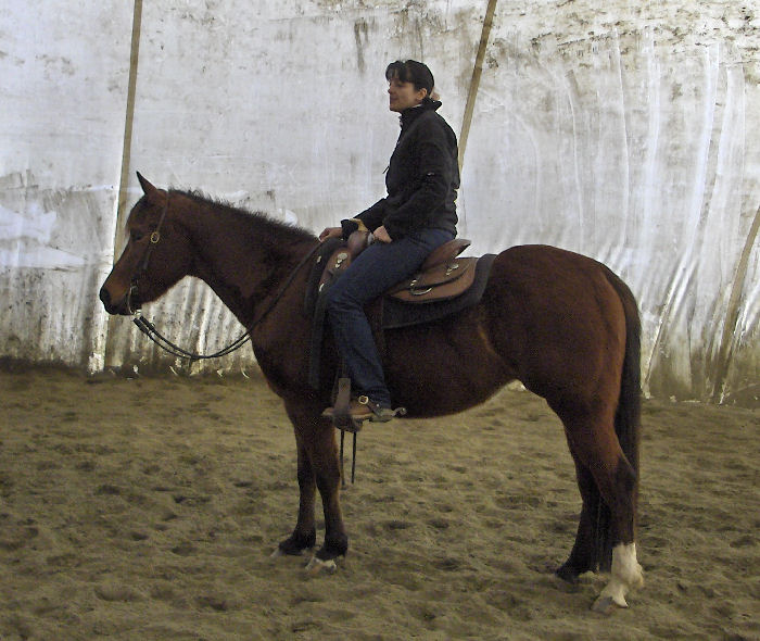 Lady Helen 1.jpg