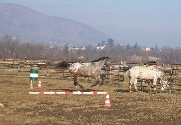 100_0108.JPG