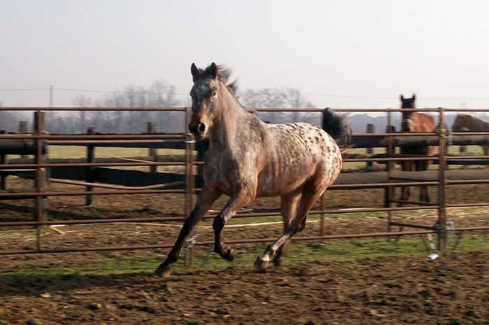 100_0131.JPG