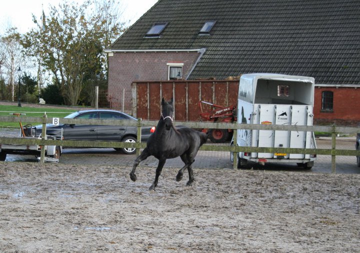 froukje ott2010.2.jpg