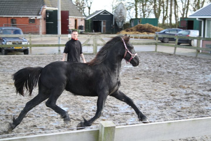 froukje ott2010.jpg