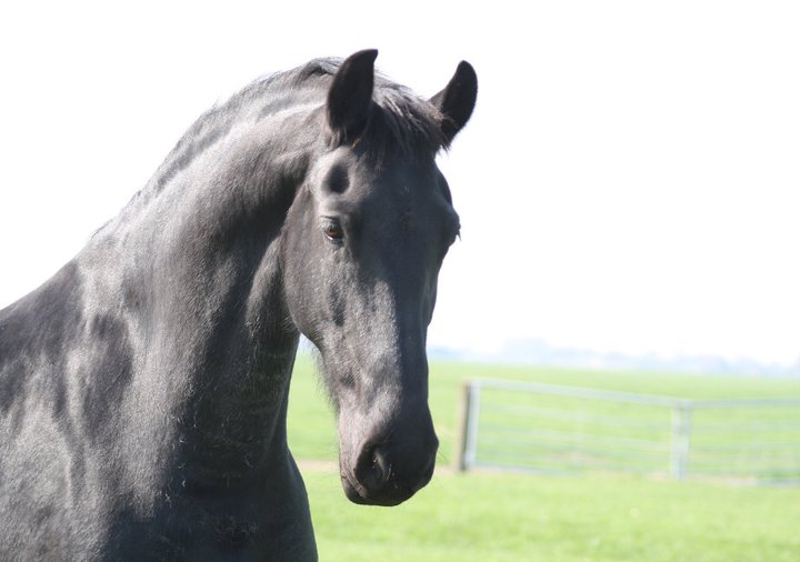 jetske apr2011.jpg
