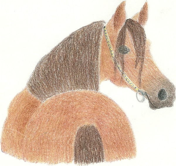 arabian.jpg