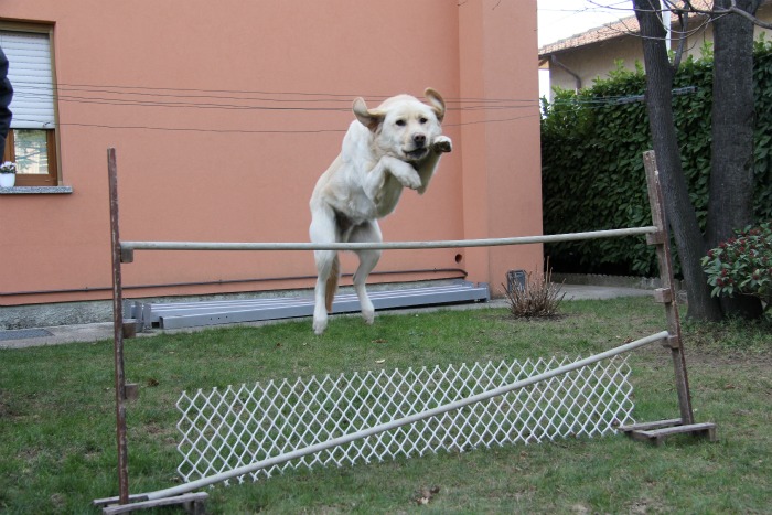 verticale.jpg