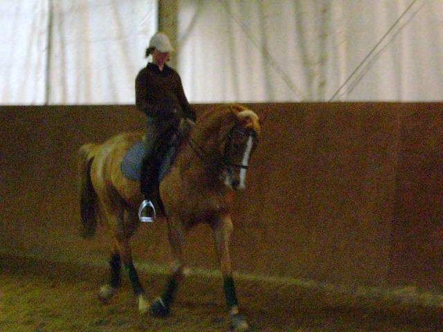 022 Krotty - 23 febbraio 2008.JPG