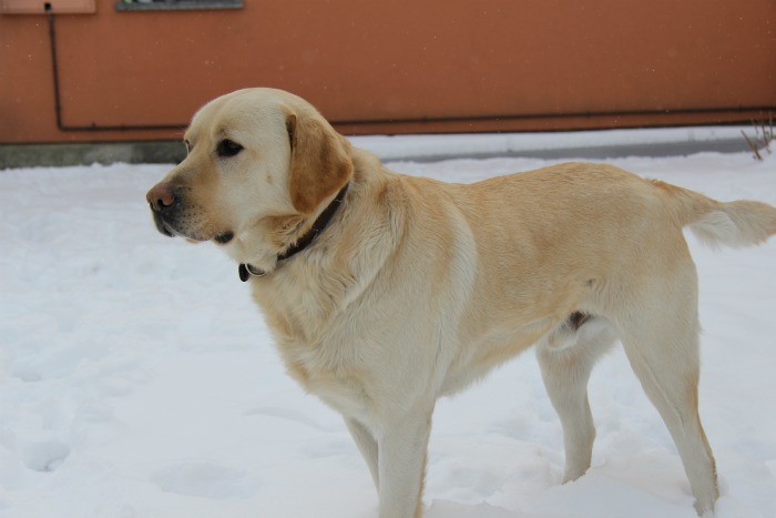 profile max.jpg