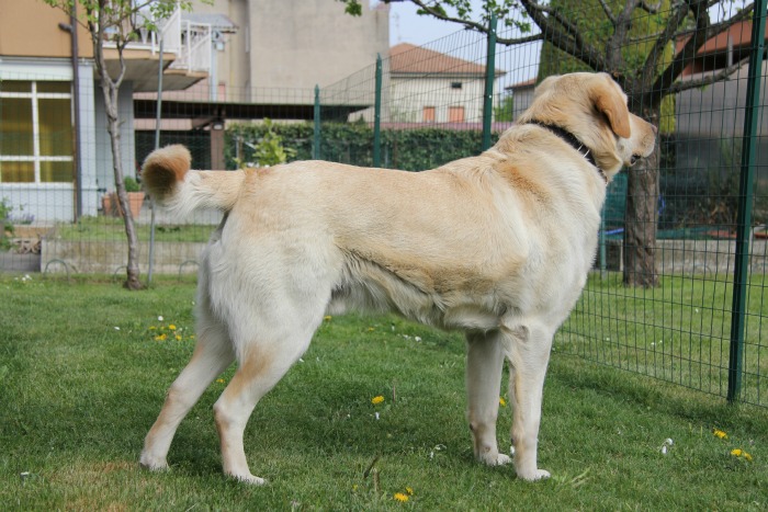 max (2)....jpg