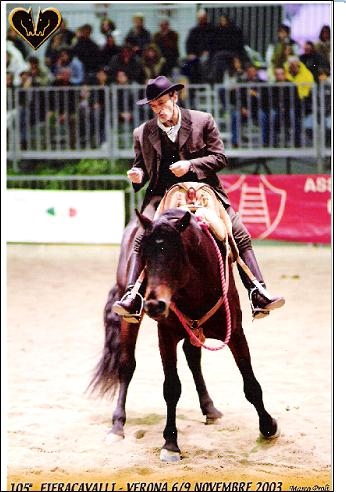 spin delfi.JPG