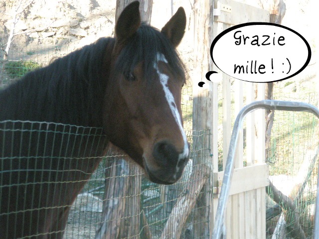 fumetto 'grazie'.jpg