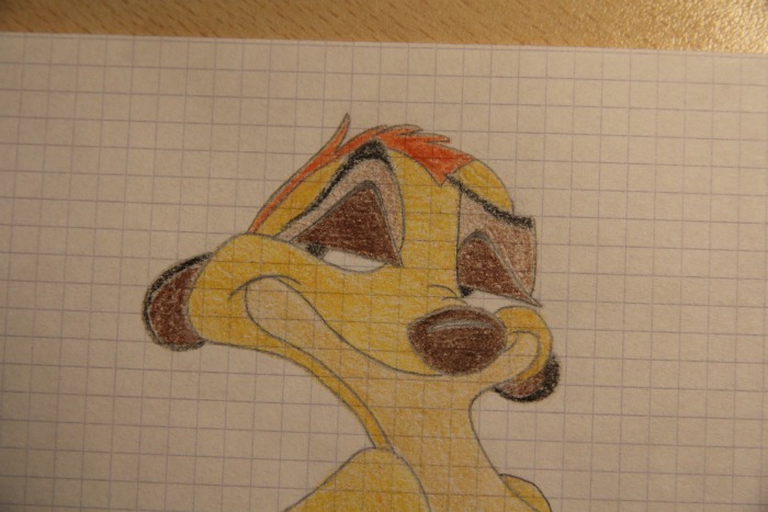 timon2.jpg
