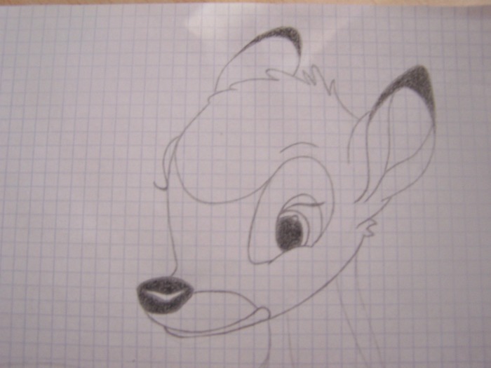 bambi.jpg