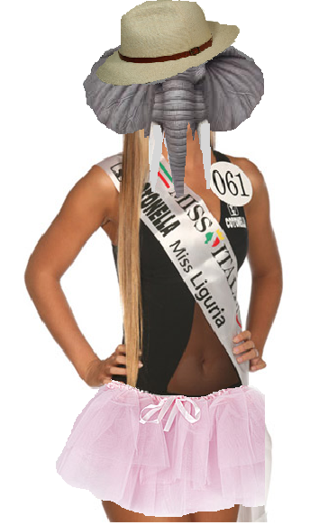 miss liguria elefante.png