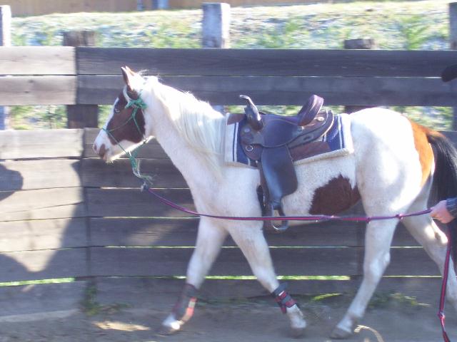 100_1530.jpg