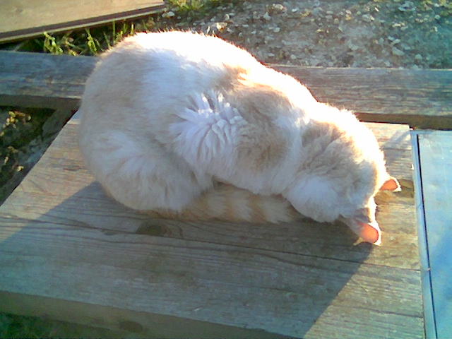 09-03-08-B.jpg