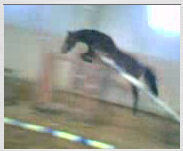 Veshna salto.jpg