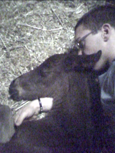 Notte notte.JPG
