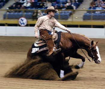 reining02.jpg