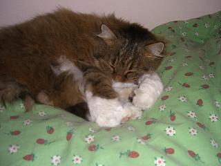 Minette 6.JPG