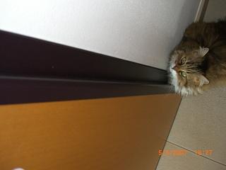 Minette 05 mai 07 - 3.JPG