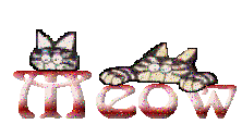 meow.gif