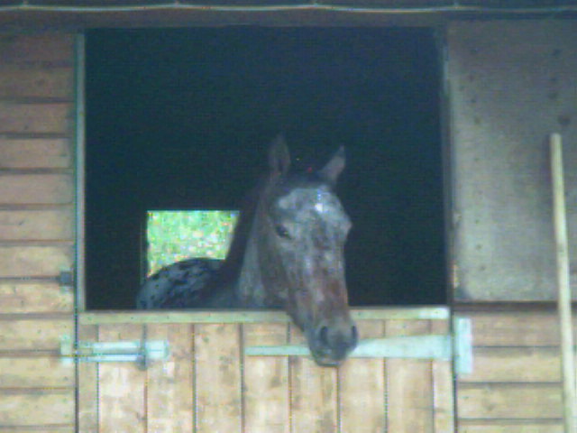 Img1043.jpg