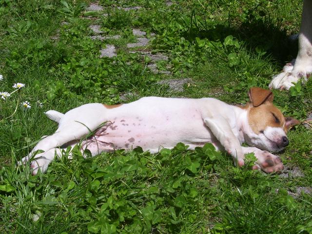 100_2225.jpg