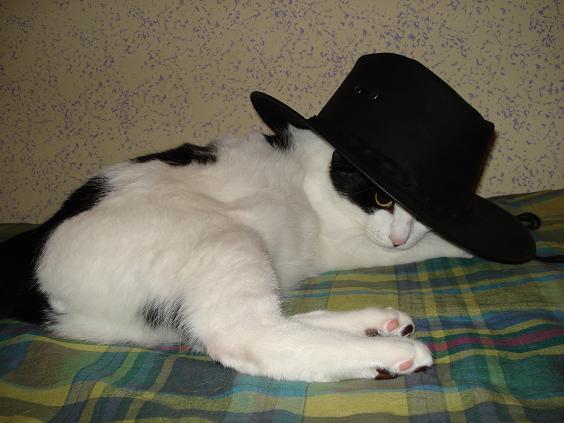 mosècowboy.JPG
