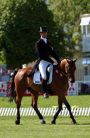 William Fox-Pitt e Tamarillo