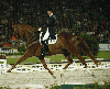 Heike Kemmer ai Campionati del Mondo di Aachen 2006