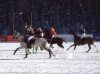 Cartier Winter Cup a St. Moritz 2008